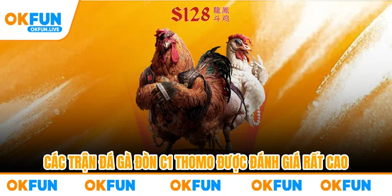 Các trận đá gà đòn C1 Thomo được đánh giá rất cao