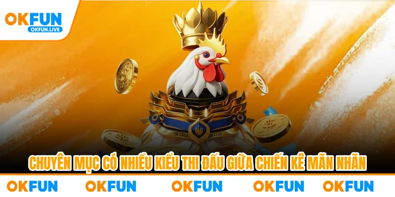 Chuyên mục có nhiều kiểu thi đấu giữa chiến kê mãn nhãn