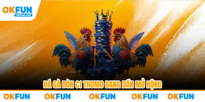 Đá gà đòn C1 Thomo đang dần mở rộng