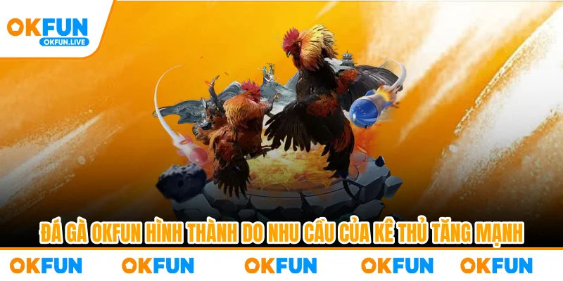 Đá gà OKFUN hình thành do nhu cầu của kê thủ tăng mạnh