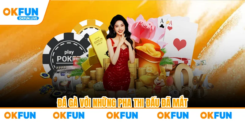 Đá gà với những pha thi đấu đã mắt