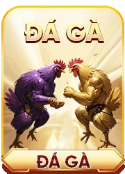 đá gà okfun