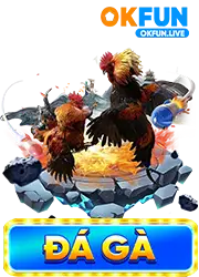 đá gà okfun live