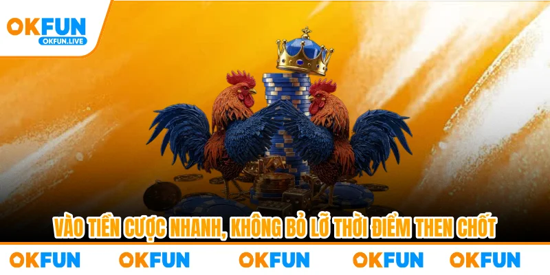 Vào tiền cược nhanh, không bỏ lỡ thời điểm then chốt
